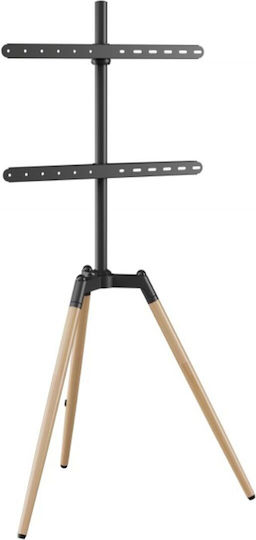 Gembird TVS-65S-01 Wall TV Mount