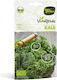 Salată Kale 3gr Semințe Vitalfoods