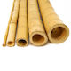 Showood Reed pentru Împrejmuire Grădină din Bambus 8x8x300buc 1buc