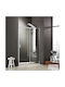 Shower Door 140cm 137-141x185cm 6mm Glass Clean Glass 1 Fixed & 1 Sliding Panel Axis Slider 1+1 Slx140c-100