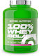 Scitec Nutrition 100% Whey Isolate Protein Whey with Flavor White Chocolate Strawberry 1.816kg