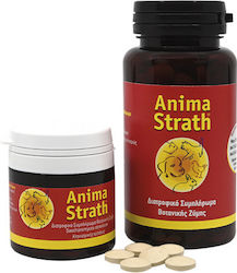 Interanimal Vitamina 60 Capsule