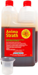 Anima Strath Nutritional Supplement 1lt Anima Strath Nutritional Supplement 1lt