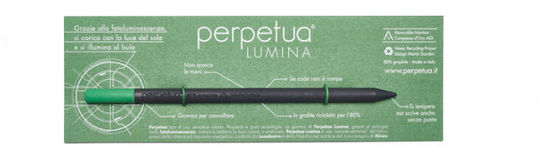 Eco Pencil Graphite Fluorescent Green Eraser Perpetua