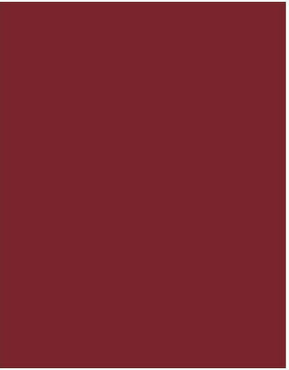 Cartoane Colaj 50x70 220gr 5018 Burgundy Cartoane Tip Canson
