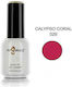 Angelacq Semipermanent Lac de Unghii 029 15ml 1buc