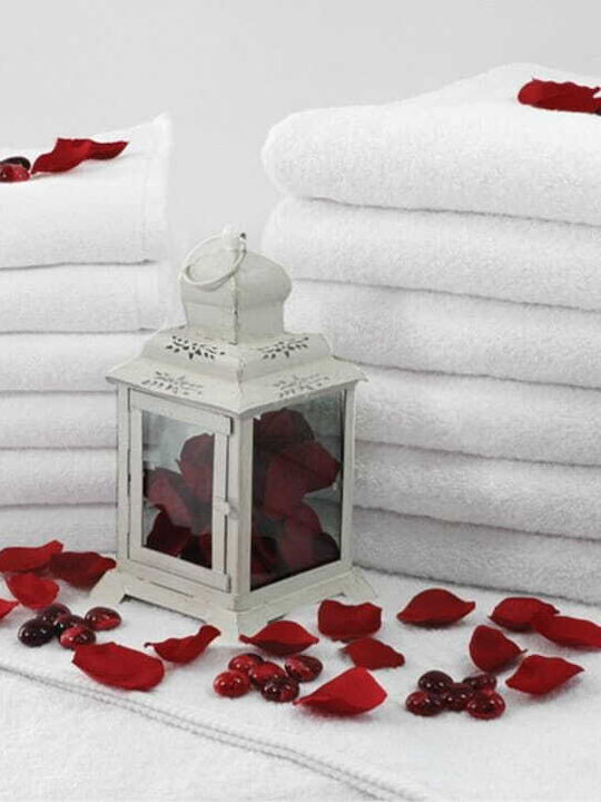 Faro Facecloth 50x100cm White Weight 500gr/m²
