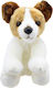 Σκυλος Jack Russell