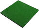 inSPORTline Rubber Gym Exercise Equipment Floor Mat Green 50x50x2cm