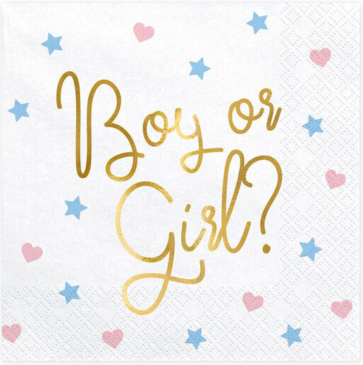 Napkins Boy Girl? 33x33cm 1 Carton 12 Packs 1 Pack 20 Pcs