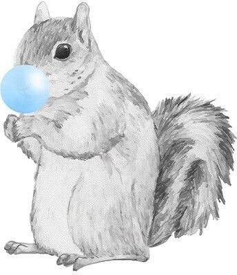 Poster Squirrel Blue Bubble Gum Paper 15x20cm