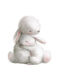 Posters Poster White Hugging Bunny Paper 100x100cm