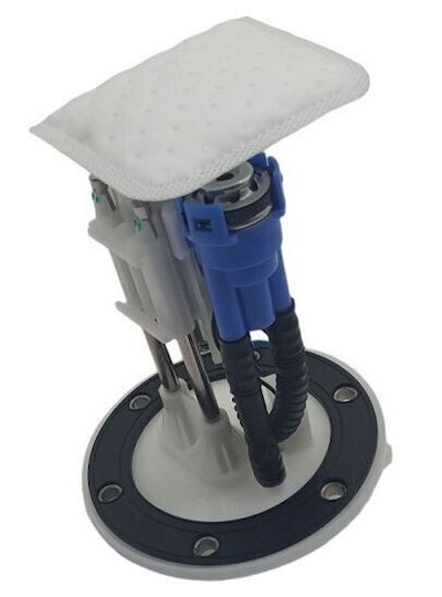 Kraftstoffpumpe Symphony 125 Komplettes Gehäuse Roc 01601009