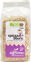 Κρεμμυδόσουπα Πλιγουρι Ρυζι 310γραμ Agrimon