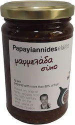 Fig Jam Oikotechnia Papagiannidis Flavours of Greece 360g