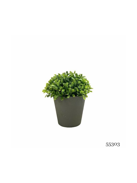 Plantă Artificială Ibergarden Dimensiuni 13x13x15cm Ghiveci Gri