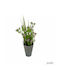 Artificial Plant Ibergarden Dimensions 12x12x30cm Grey Pot Pink Flowers