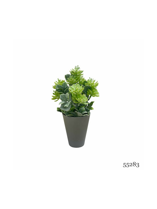 Plantă Artificială Ibergarden Dimensiuni 10x10x22cm Ghiveci Gri Cod 55283