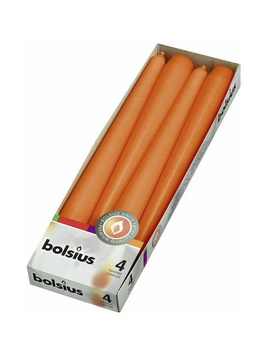 Taper Candle Bolsius 245/24mm 4 Pieces Orange