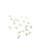 Decorative Seashells Hintatina Nature 1kg White