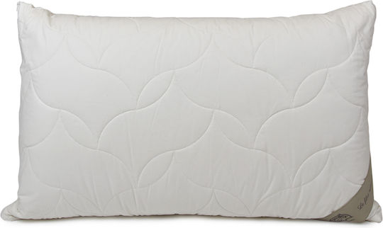 Kapok Organic Cotton 50x70 Kapok Organic Cotton 50x70