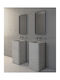Hanging Mirror Iron Curved Wall Slim 42x80 cm Led Brushed Inox