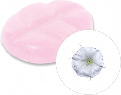 Scentchips Wax Melts Moon Flower 8τμχ