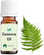 Sueño Aroma Fragrance Oil Fougere Αρωματικό Έλαιο Φουγκέρ Ή Φτέρη 12ml