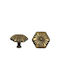 Knob Giusti Art.6009 Φ-20mm Bronze 233-6009#2604b