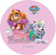 Kardasis Ζαχαρωτή Πλάκα Sugar Paper Paw Patrol Skye Everest