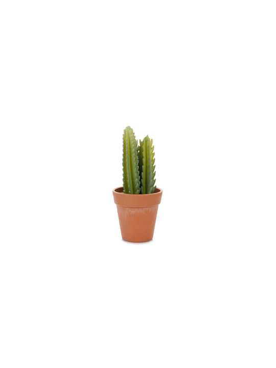 Plantă Suculentă În Ghiveci 14cm 8.5x8.5x14cm Verde Kaeming