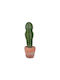 Plantă Suculentă În Ghiveci 23cm 8x8x23cm Verde Kaeming
