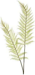 Artificial Fern Pteropsida 14x81cm