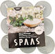 Aromatische Teelichter Minze Bis Zu 8 Stunden Brenndauer