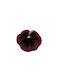 Velvet Burgundy Pumpkin Small 7.5cm 1 Piece