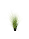 Harmony Künstliche Pflanze Gras Hellgrün 70cm