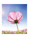Ρόλερ Digital Print E455 Φ100xυ120