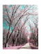 Digital Print Roller E215 Width 120cm Height 160cm