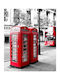 Ρόλερ Digital Print E242 Φ100xυ100
