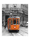 Ρόλερ Digital Print E505 Φ120xυ100