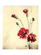 Ρόλερ Digital Print E431 Φ120xυ100