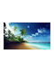 Digital Print Rollos E234 Breite 100xHöhe 120