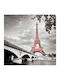 Ρόλερ Digital Print E236 Φ120xυ100