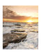 Ρόλερ Digital Print E474 Φ140xυ120
