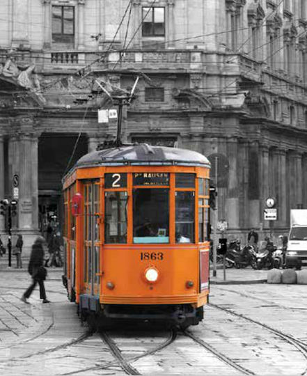Ρόλερ Digital Print E505 Φ120xυ240