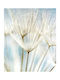Ρόλερ Digital Print E388 Φ140xυ120