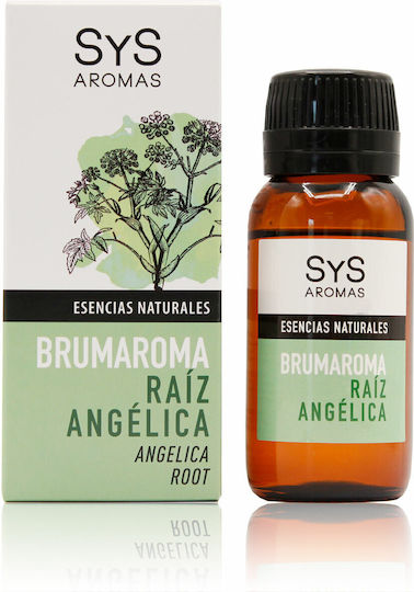 Laboratorio SyS Wasserlösliches Aromatisches Ätherisches Öl für Aromatherapie Geräte Sys Angelika Wurzel 50ml