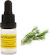 Rosmarin Aromatisches Öl 10ml