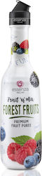 Piure Fruit ’n Mix Fructe de Pădure 1.3kg