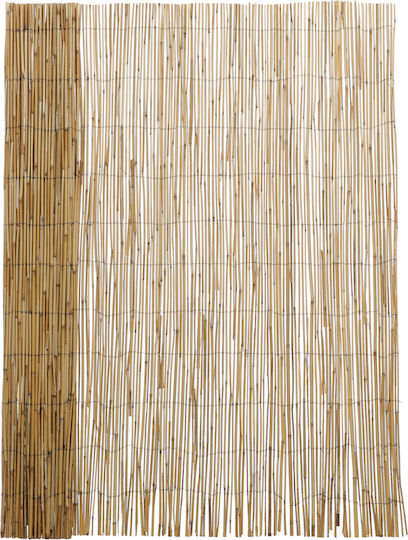 Jardi Каламоти с Целият Рийд 1.5x3m